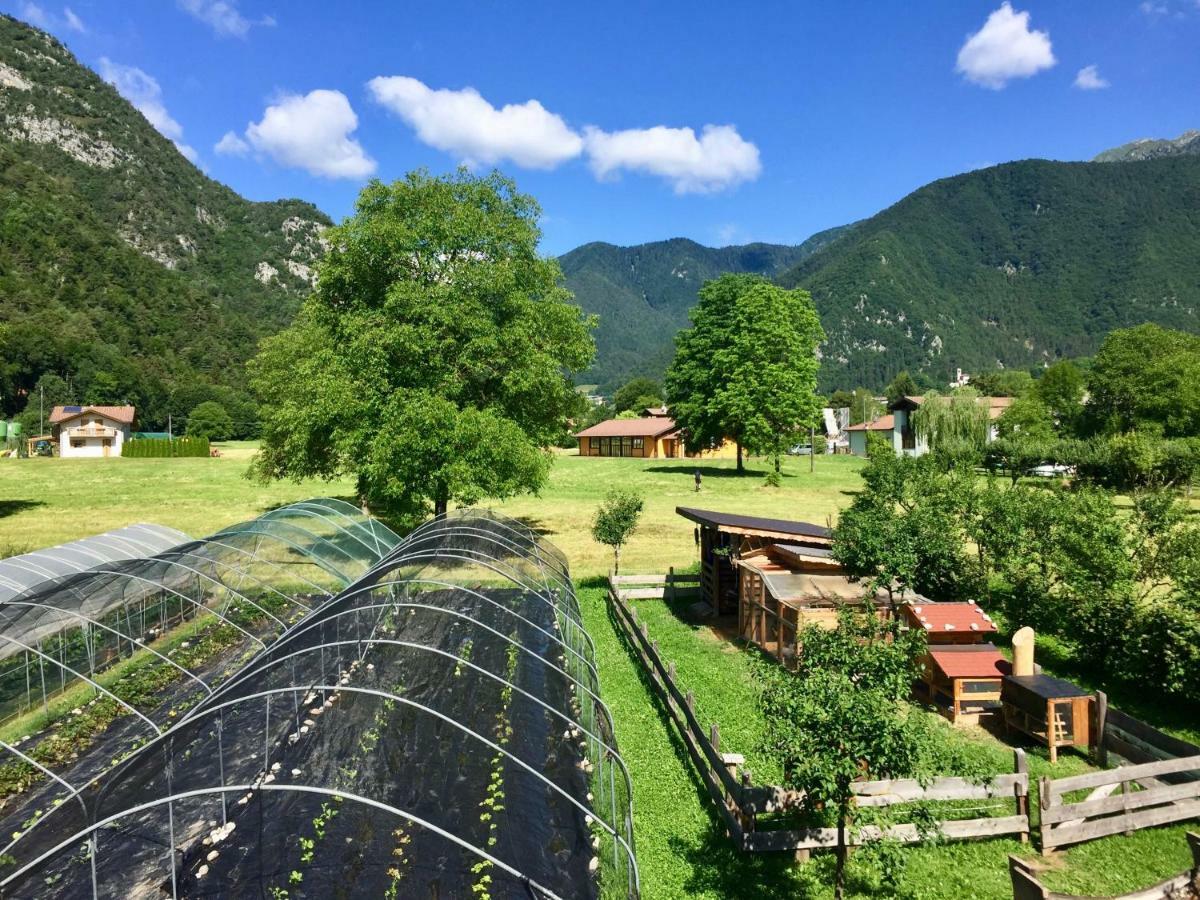 B&B Dalla Fattoria Della Patty 皮耶韦迪莱德罗 外观 照片