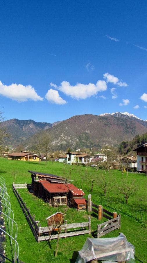 B&B Dalla Fattoria Della Patty 皮耶韦迪莱德罗 外观 照片